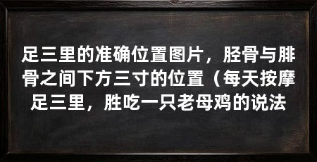 足三里的准确位置图片，胫骨与腓骨之间下方三寸的位置（每天按摩足三里，胜吃一只老母鸡的说法