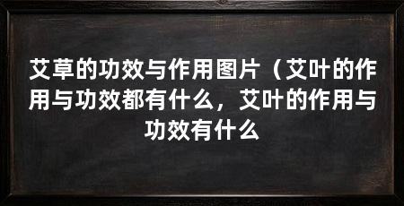 艾草的功效与作用图片(艾叶的作用与功效都有什么,艾叶的作用与功效有什么