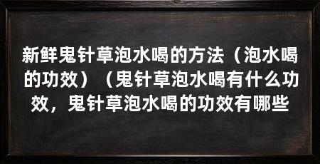 新鲜鬼针草泡水喝的方法（泡水喝的功效）（鬼针草泡水喝有什么功效，鬼针草泡水喝的功效有哪些