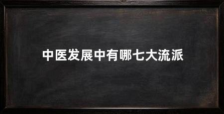 中医发展中有哪七大流派