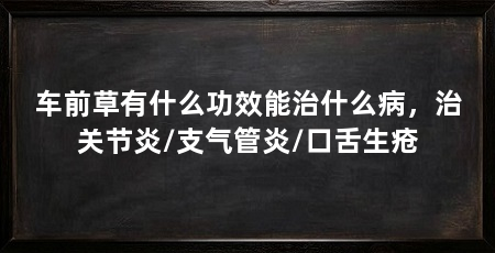 车前草有什么功效能治什么病，治关节炎/支气管炎/口舌生疮
