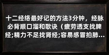十二经络最好记的方法3分钟,经脉必背顺口溜和歌诀(疲劳透支找脾经;精力不足找肾经;容易感冒拍肺经