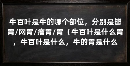 牛百叶是牛的哪个部位,分别是瓣胃/网胃/瘤胃/胃(牛百叶是什么胃,牛百叶是什么,牛的胃是什么