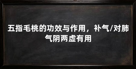 五指毛桃的功效与作用，补气/对肺气阴两虚有用