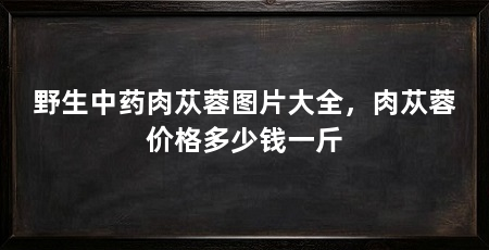 野生中药肉苁蓉图片大全,肉苁蓉价格多少钱一斤