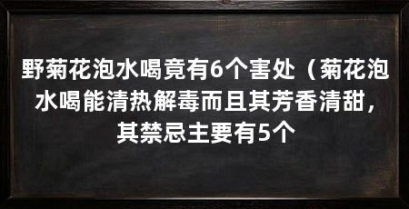 野菊花泡水喝竟有6个害处(菊花泡水喝能清热解毒而且其芳香清甜,其禁忌主要有5个