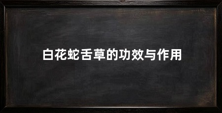 白花蛇舌草的功效与作用