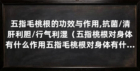 五指毛桃根的功效与作用,抗菌/清肝利胆/行气利湿（五指桃根对身体有什么作用五指毛桃根对身体有什么作用