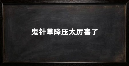 鬼针草降压太厉害了