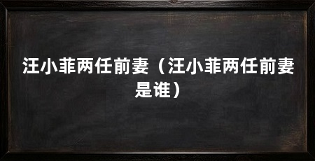 汪小菲两任前妻(汪小菲两任前妻是谁)