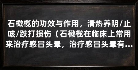 石橄榄的功效与作用，清热养阴/止咳/跌打损伤（石橄榄在临床上常用来治疗感冒头晕，治疗感冒头晕有好处