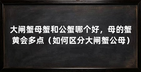 大闸蟹母蟹和公蟹哪个好，母的蟹黄会多点（如何区分大闸蟹公母）