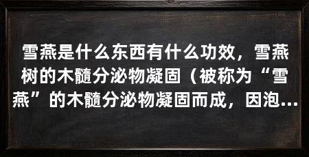 雪燕是什么东西有什么功效,雪燕树的木髓分泌物凝固(被称为“雪燕”的木髓分泌物凝固而成,因泡发后跟燕窝比较像