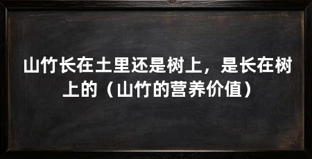 山竹长在土里还是树上，是长在树上的（山竹的营养价值）