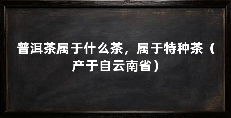 普洱茶属于什么茶,属于特种茶(产于自云南省)