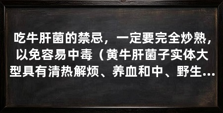 吃牛肝菌的禁忌,一定要完全炒熟,以免容易中毒(黄牛肝菌子实体大型具有清热解烦、养血和中、野生黄牛肝菌助消化