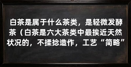 白茶是属于什么茶类,是轻微发酵茶(白茶是六大茶类中最挨近天然状况的,不揉捻造作,工艺“简略”