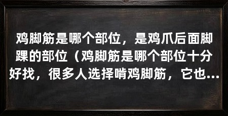 鸡脚筋是哪个部位，是鸡爪后面脚踝的部位（鸡脚筋是哪个部位十分好找，很多人选择啃鸡脚筋，它也很好吃
