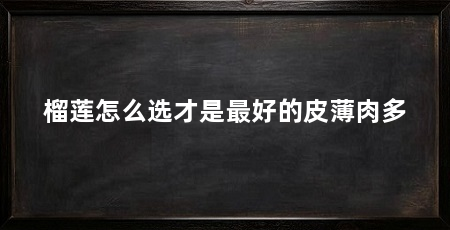 榴莲怎么选才是最好的皮薄肉多