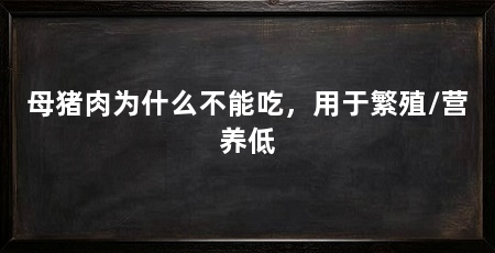 母猪肉为什么不能吃,用于繁殖/营养低