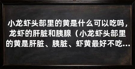 小龙虾头部里的黄是什么可以吃吗，龙虾的肝脏和胰腺（小龙虾头部里的黄是肝脏、胰脏、虾黄最好不吃了或者不要吃了