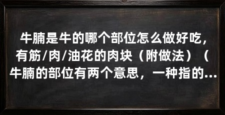 牛腩是牛的哪个部位怎么做好吃,有筋/肉/油花的肉块(附做法)(牛腩的部位有两个意思,一种指的是纯牛肚子上的肉,还有一种做法