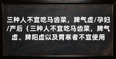 三种人不宜吃马齿菜,脾气虚/孕妇/产后(三种人不宜吃马齿菜,脾气虚、脾阳虚以及胃寒者不宜使用