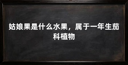 姑娘果是什么水果，属于一年生茄科植物