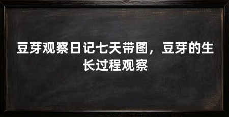 豆芽观察日记七天带图,豆芽的生长过程观察