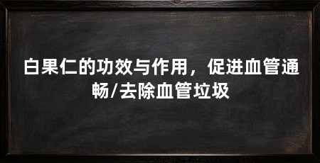 白果仁的功效与作用,促进血管通畅/去除血管垃圾