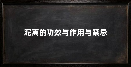 泥蒿的功效与作用与禁忌
