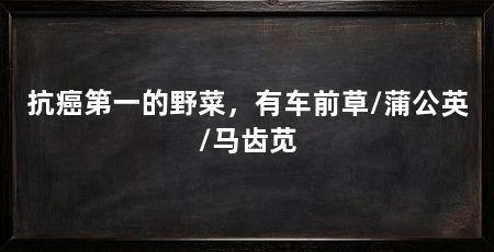 抗癌第一的野菜,有车前草/蒲公英/马齿苋