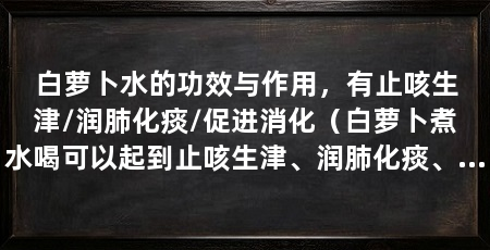 白萝卜水的功效与作用，有止咳生津/润肺化痰/促进消化（白萝卜煮水喝可以起到止咳生津、润肺化痰、促进消化的作用