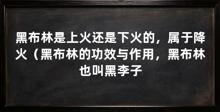 黑布林是上火还是下火的,属于降火(黑布林的功效与作用,黑布林也叫黑李子