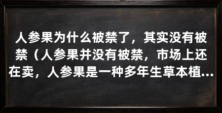 人参果为什么被禁了，其实没有被禁（人参果并没有被禁，市场上还在卖，人参果是一种多年生草本植物