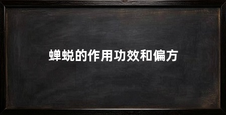 蝉蜕的作用功效和偏方