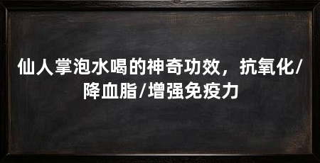 仙人掌泡水喝的神奇功效，抗氧化/降血脂/增强免疫力