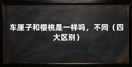 车厘子和樱桃是一样吗，不同（四大区别）