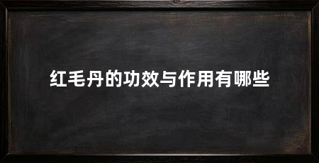 红毛丹的功效与作用有哪些