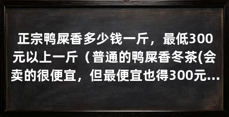 正宗鸭屎香多少钱一斤，最低300元以上一斤（普通的鸭屎香冬茶(会卖的很便宜，但最便宜也得300元以上