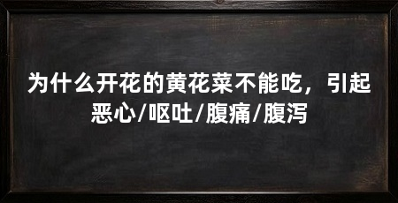 为什么开花的黄花菜不能吃,引起恶心/呕吐/腹痛/腹泻