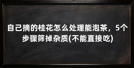 自己摘的桂花怎么处理能泡茶,5个步骤筛掉杂质(不能直接吃)