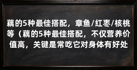 藕的5种最佳搭配，章鱼/红枣/核桃等（藕的5种最佳搭配，不仅营养价值高，关键是常吃它对身体有好处
