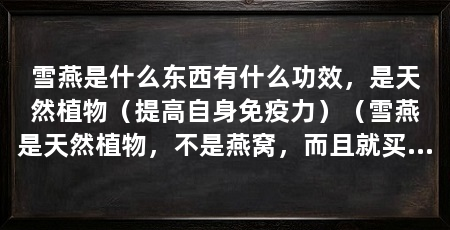 雪燕是什么东西有什么功效，是天然植物（提高自身免疫力）（雪燕是天然植物，不是燕窝，而且就买过的友友反馈，雪燕的功效