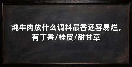 炖牛肉放什么调料最香还容易烂，有丁香/桂皮/甜甘草