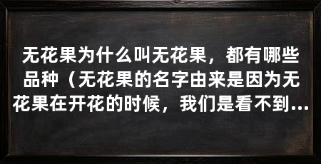 无花果为什么叫无花果,都有哪些品种(无花果的名字由来是因为无花果在开花的时候,我们是看不到的