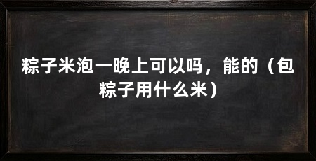 粽子米泡一晚上可以吗,能的(包粽子用什么米)