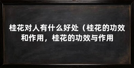 桂花对人有什么好处（桂花的功效和作用，桂花的功效与作用