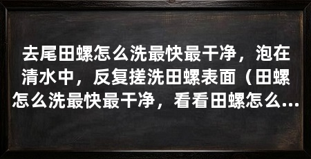 去尾田螺怎么洗最快最干净,泡在清水中,反复搓洗田螺表面(田螺怎么洗最快最干净,看看田螺怎么洗最干净,不然会有沙子