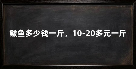 鲅鱼多少钱一斤，10-20多元一斤